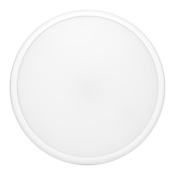 LED Outdoor ceiling light with a sensor MOVA LED/16W/230V IP54