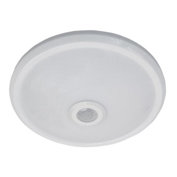 LED Outdoor ceiling light with a sensor PIR LED/16W/230V IP54