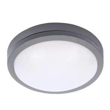LED Outdoor ceiling light with a sensor SIENA LED/20W/230V IP54
