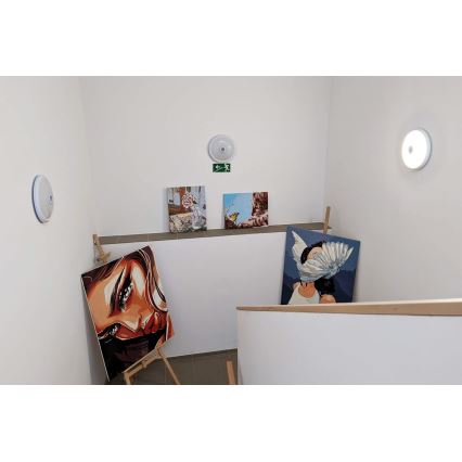 LED outdoor ceiling light with motion and dusk sensor, 16W LED, 230V, Ø 28.5 cm, IP54, white