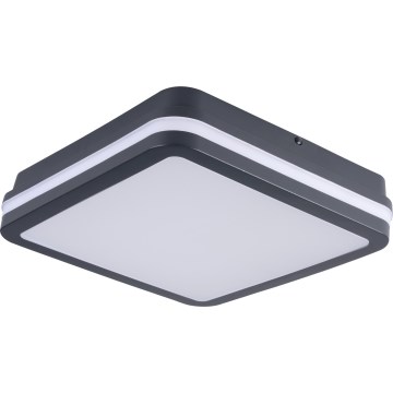 LED Outdoor ceiling light with motion sensor BENO LED/24/30W/230V 3000/3500/4000K IP65 anthracite angular