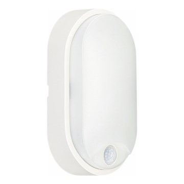 LED Outdoor ceiling light with sensor LED/14W/230V IP54 white