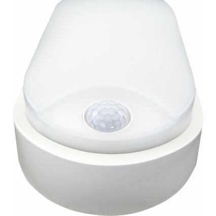 LED Outdoor ceiling light with sensor LED/14W/230V IP54 white