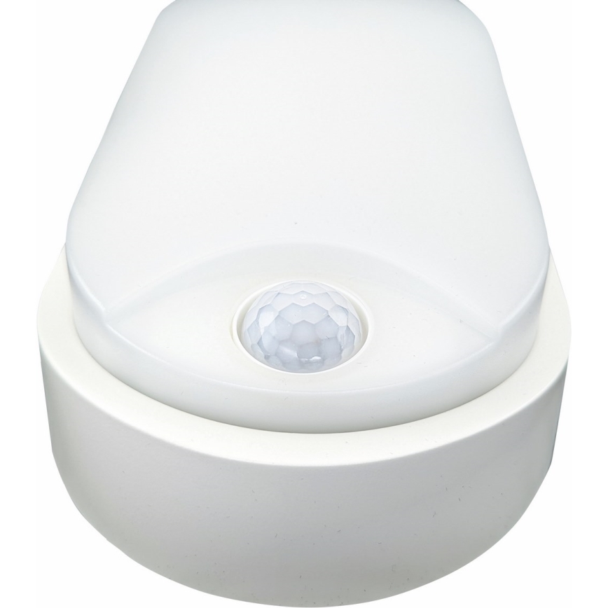 LED Outdoor ceiling light with sensor LED/14W/230V IP54 white