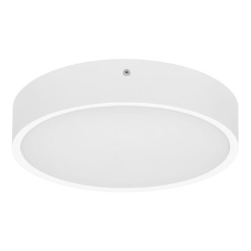 LED Outdoor ceiling light with sensor MARTIN LED/25W/230V 3000/4000K d. 35 cm IP65 white