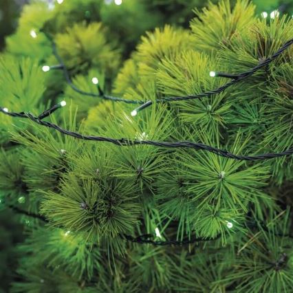 LED Outdoor Christmas chain 100xLED/10m IP44 green
