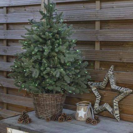 LED Outdoor Christmas chain 100xLED/10m IP44 green