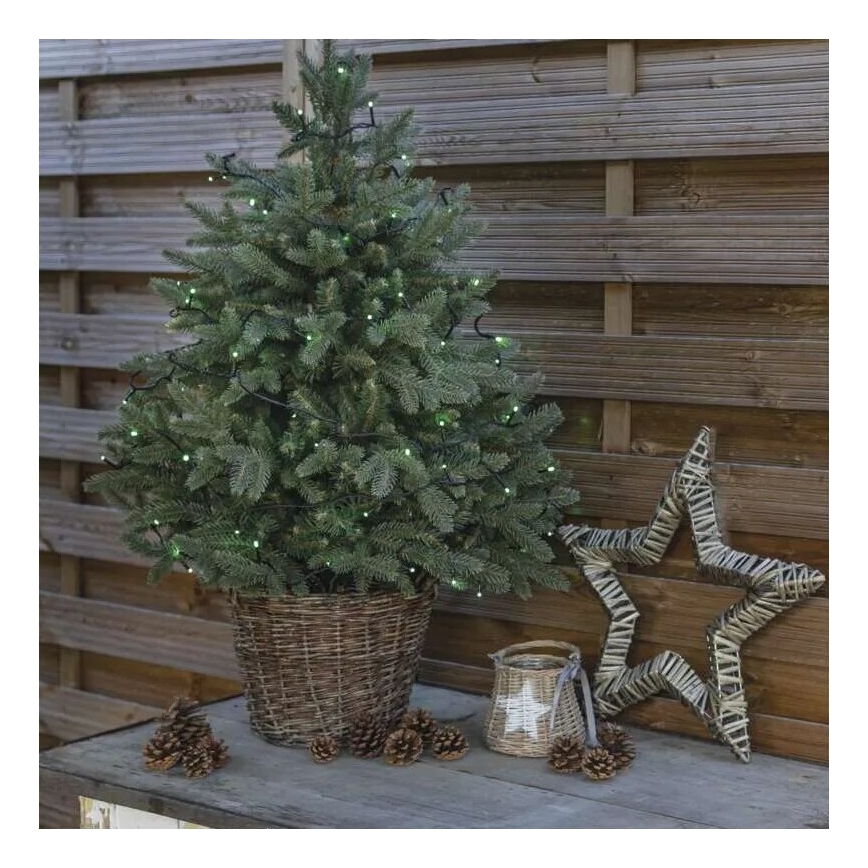 LED Outdoor Christmas chain 100xLED/10m IP44 green