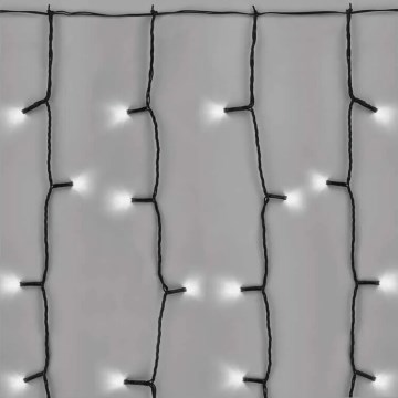 LED Outdoor Christmas chain 100xLED/1x2m IP44 cool white