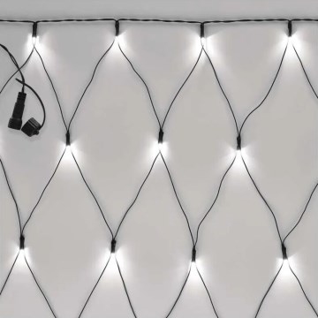 LED Outdoor Christmas chain 160xLED/2x1,5m IP44 cool white