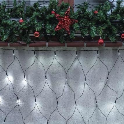 LED Outdoor Christmas chain 160xLED/2x1,5m IP44 cool white