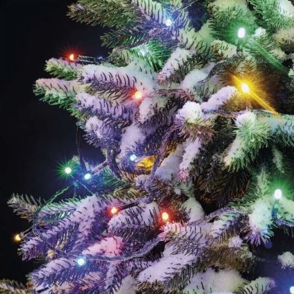 LED Outdoor Christmas chain 50xLED/5m IP44 multicolor