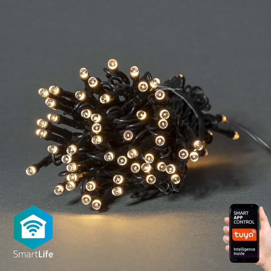 LED Outdoor Christmas chain 50xLED/8 functions 10m IP65 Wi-Fi Tuya warm white