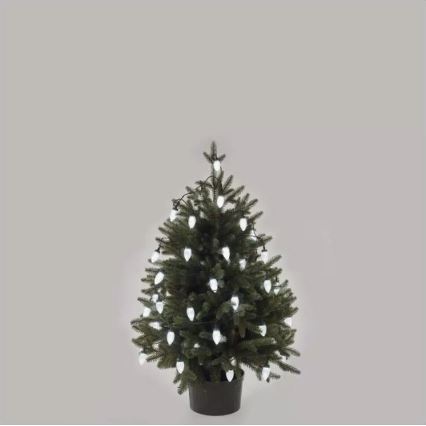 LED Outdoor Christmas chain 50xLED/8 functions 14,8 m IP44 cool white