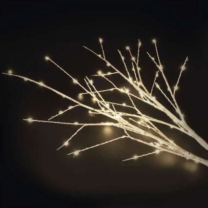 LED Outdoor Christmas Decoration 100 LEDs/3xAA Warm White IP44