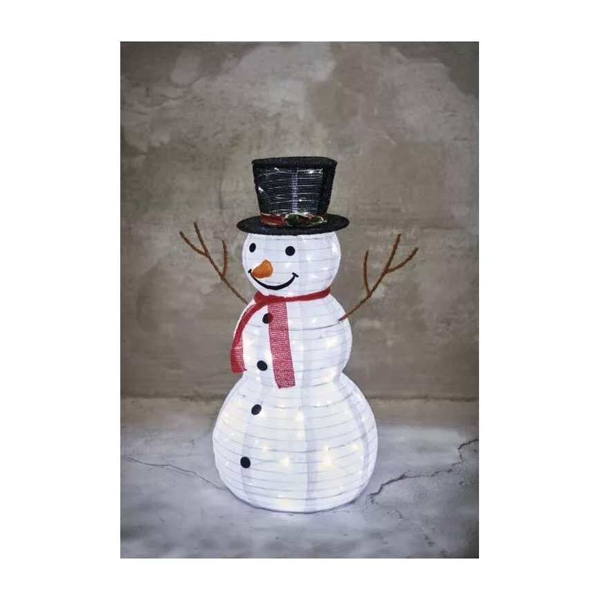 LED Outdoor Christmas decoration 80xLED/2,25W/4,5/230V IP44 cool white