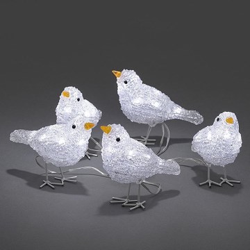 LED Outdoor Christmas decoration BIRDS 5xLED/230V/24V IP44