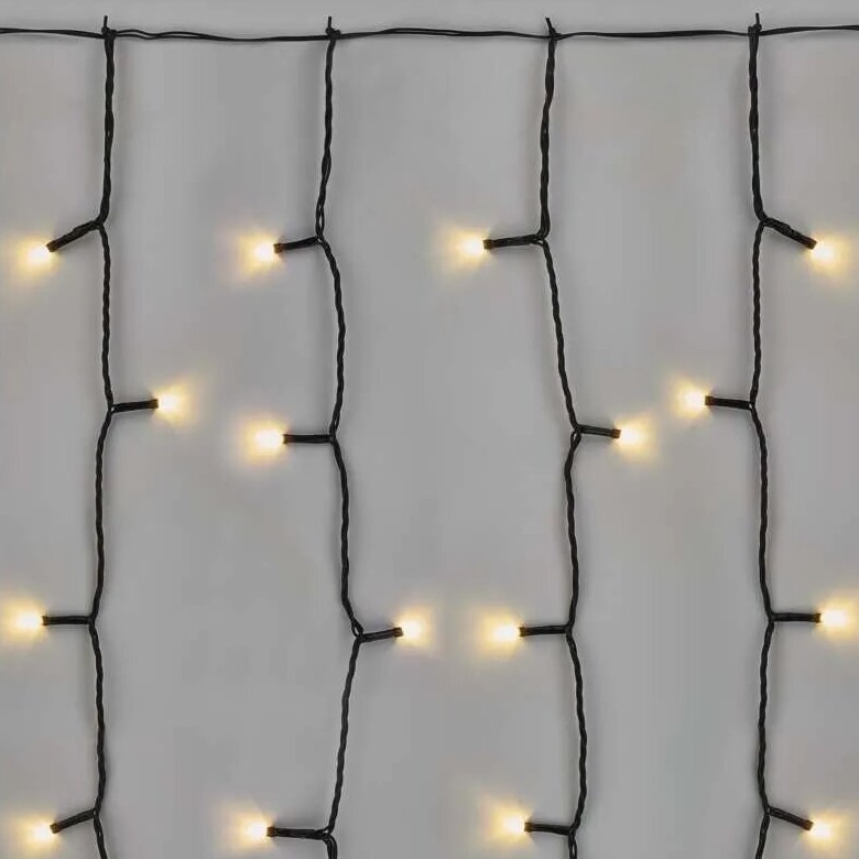 LED Outdoor Christmas String Lights 100xLED/1x2m IP44 Warm White