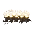 LED Outdoor decorative chain 10xLED/10m IP44 clear