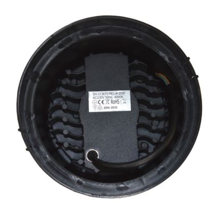 LED Outdoor driveway light PELIA LED/20W/230V IP67 4000K