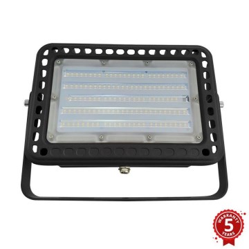 LED Outdoor flood light PROFI LED/100W/180-305V IP65