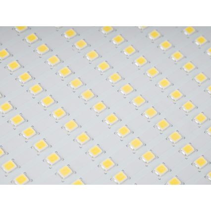 LED Outdoor flood light STAR LED/150W/230V IP65 5000K