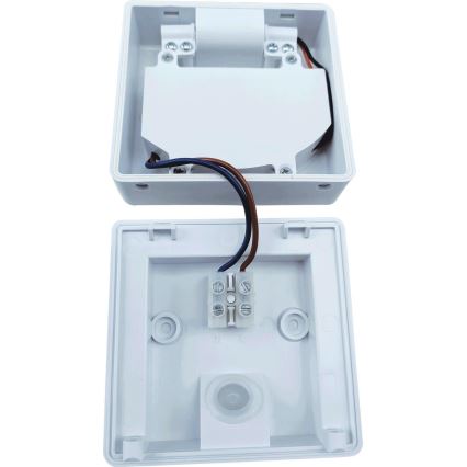 LED Outdoor flood light with a sensor FLIP LED/10W/230V IP65
