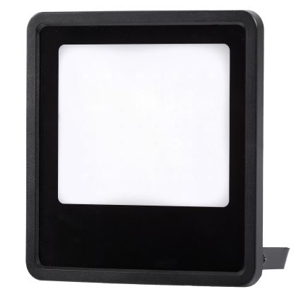 LED Outdoor floodlight LED/100W/230V 4000K IP65 black
