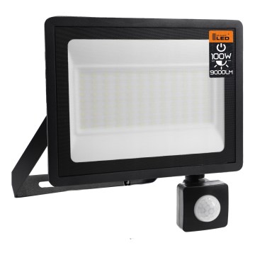 LED Outdoor Floodlight LED/100W/230V 4500K IP65 Black