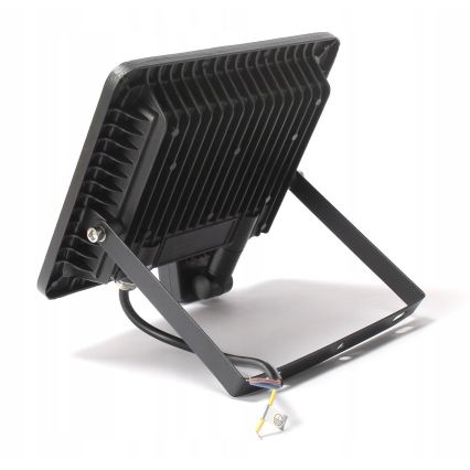 LED Outdoor Floodlight LED/100W/230V 4500K IP65 Black