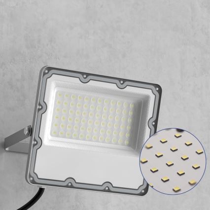 LED Outdoor Floodlight LED/100W/230V 4500K IP65 grey