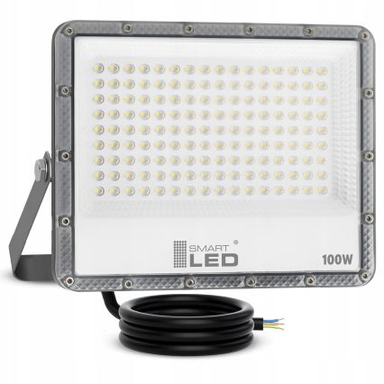 LED Outdoor Floodlight LED/100W/230V 4500K IP65 grey