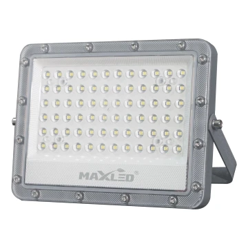 LED Outdoor floodlight LED/100W/230V 5000K IP65 grey