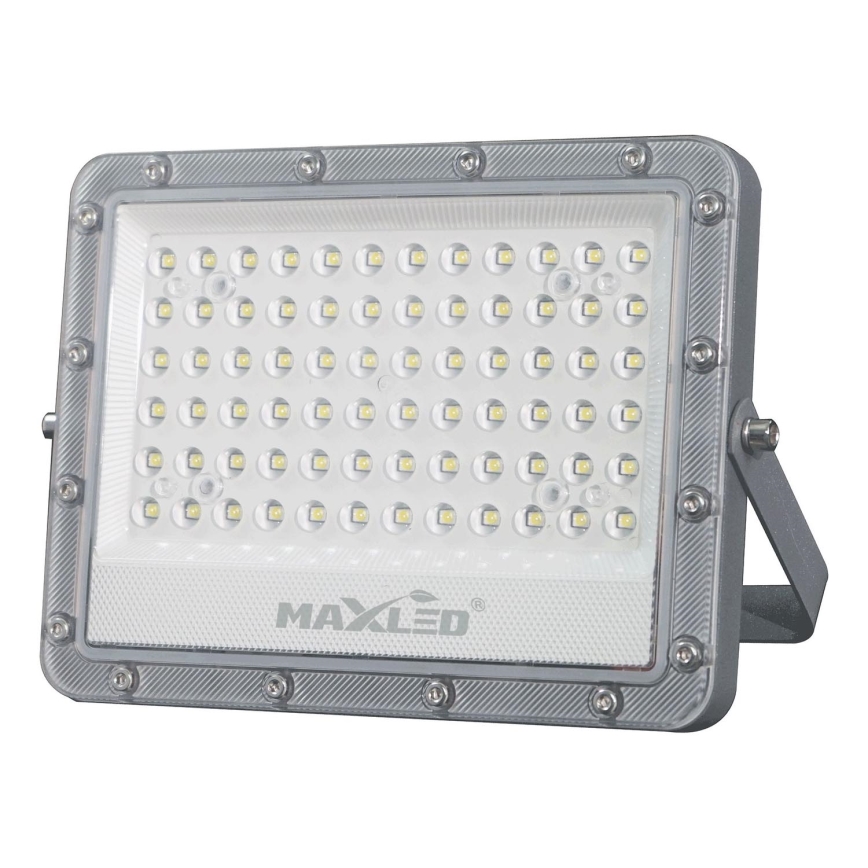 LED Outdoor floodlight LED/100W/230V 5000K IP65 grey