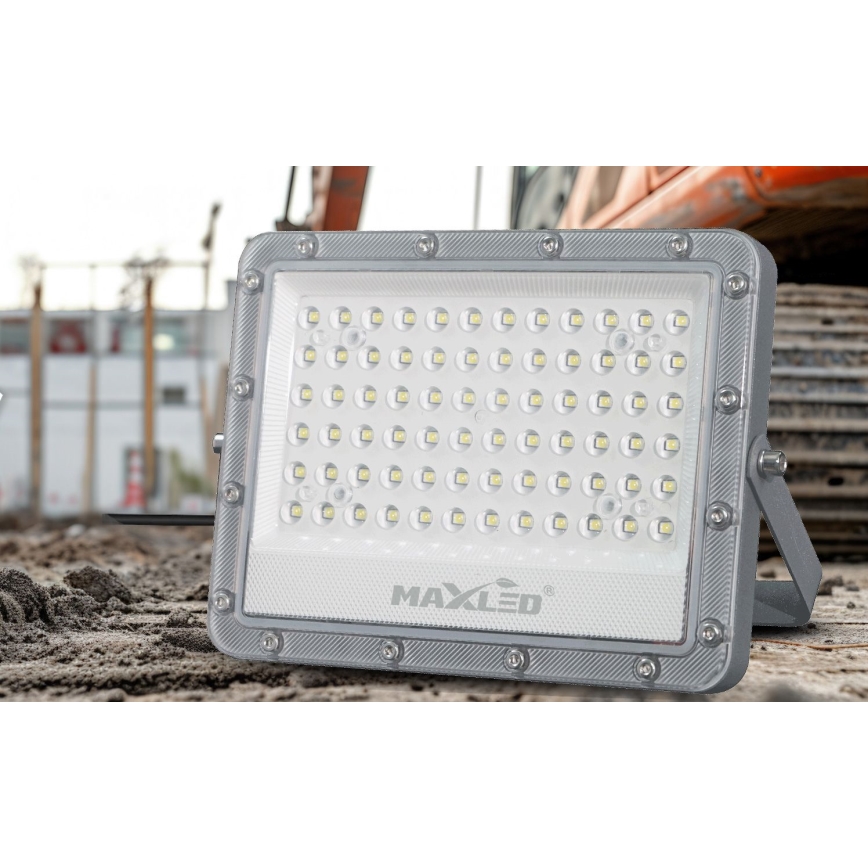 LED Outdoor floodlight LED/100W/230V 5000K IP65 grey