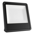 LED Outdoor floodlight LED/20W/230V 4000K IP65 black