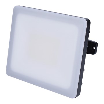 LED Outdoor floodlight LED/30W/230V 4000K IP65
