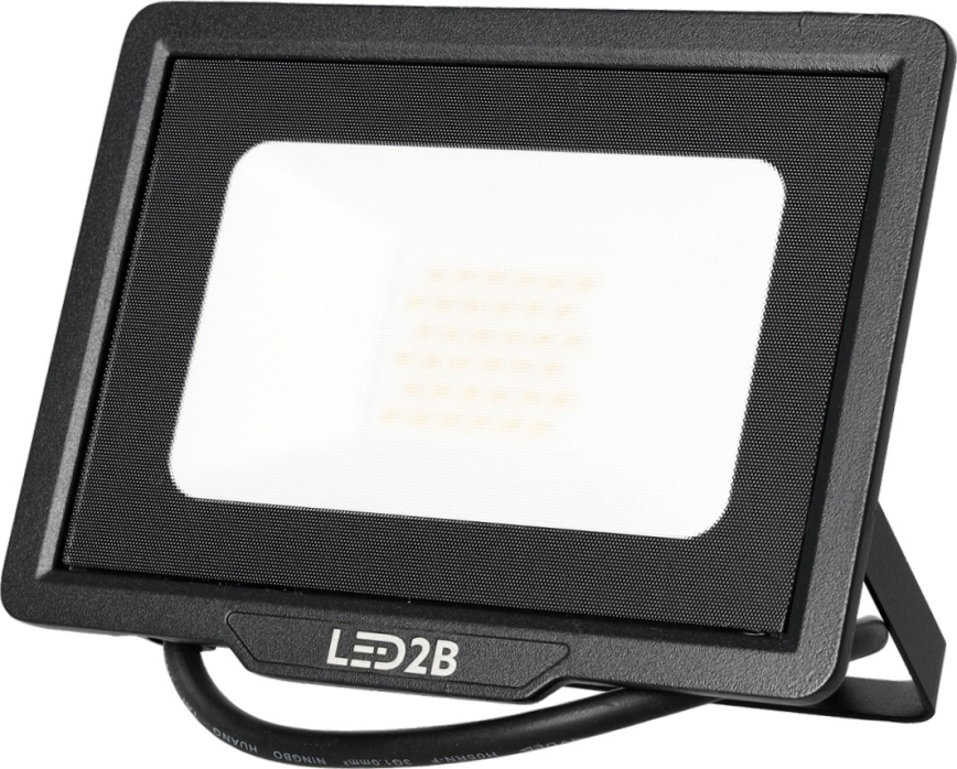 LED Outdoor floodlight LED/30W/230V 6500K IP65
