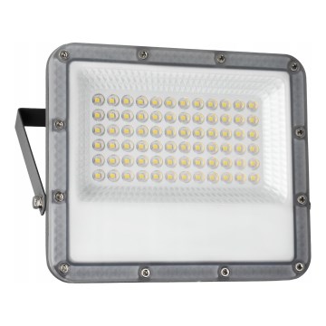 LED Outdoor Floodlight LED/50W/230V 4500K IP65 grey