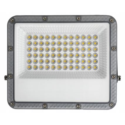 LED Outdoor Floodlight LED/50W/230V 4500K IP65 grey