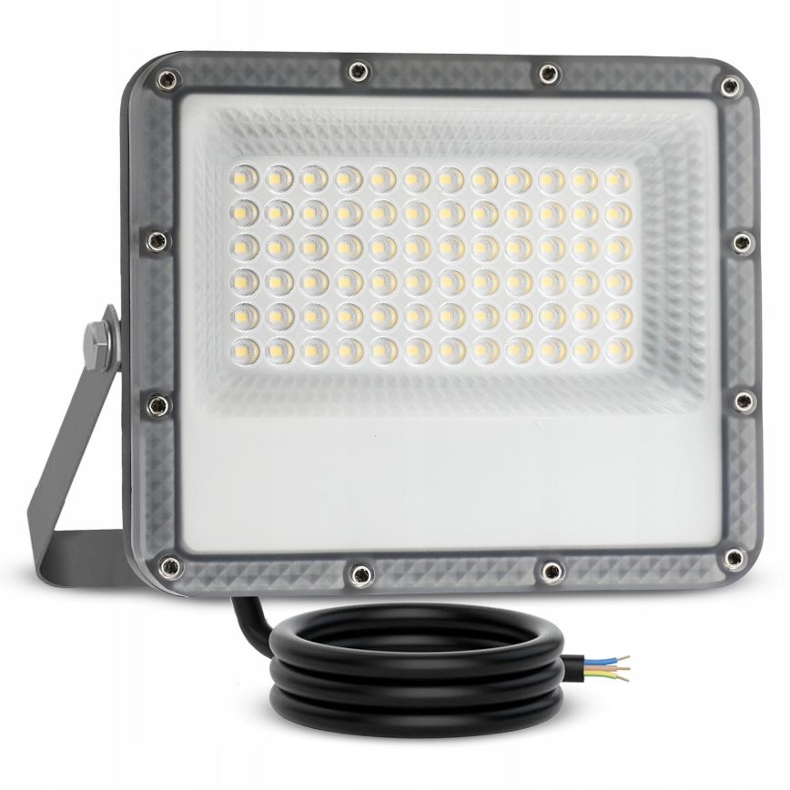 LED Outdoor Floodlight LED/50W/230V 4500K IP65 grey
