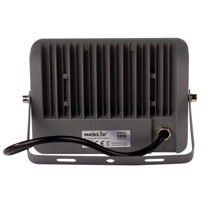 LED Outdoor floodlight LED/50W/230V 5000K IP65 grey