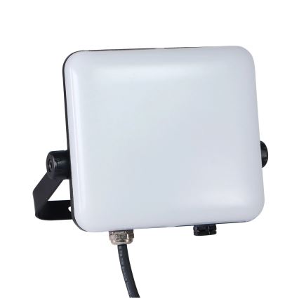 LED Outdoor floodlight MILKY LED/30W/230V 4000K IP65 black