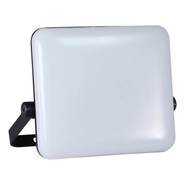 LED Outdoor floodlight MILKY LED/50W/230V 4000K IP65 black