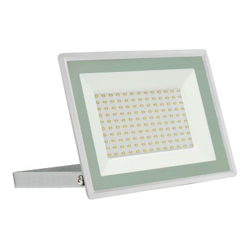 LED Outdoor floodlight NOCTIS LUX 3 LED/100W/230V 4000K IP65 white