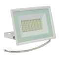 LED Outdoor floodlight NOCTIS LUX 3 LED/30W/230V 4000K IP65 white