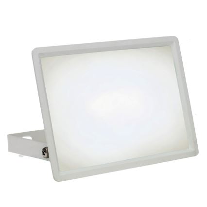 LED Outdoor floodlight NOCTIS LUX 3 LED/30W/230V 4000K IP65 white