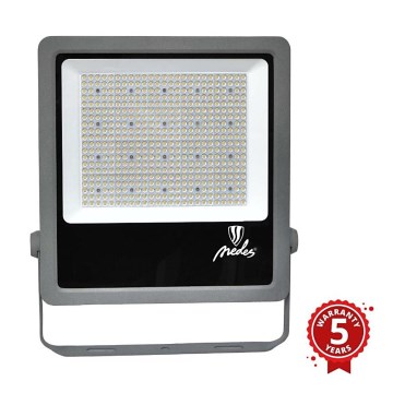 LED Outdoor floodlight PROFI PLUS LED/300W/230V 5000K IP66