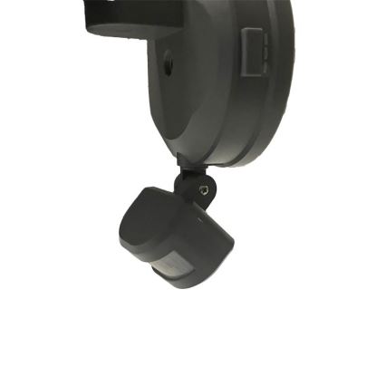 LED Outdoor floodlight with a sensor LED/24W/230V 3000/4000/6000K IP54 anthracite