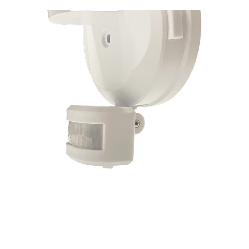 LED Outdoor floodlight with a sensor LED/24W/230V 3000/4000/6000K IP54 white